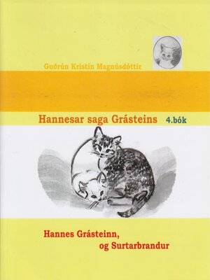 cover image of Hannesar saga Grásteins - 4. bók